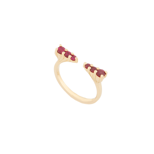 Ruby Amigas Ring